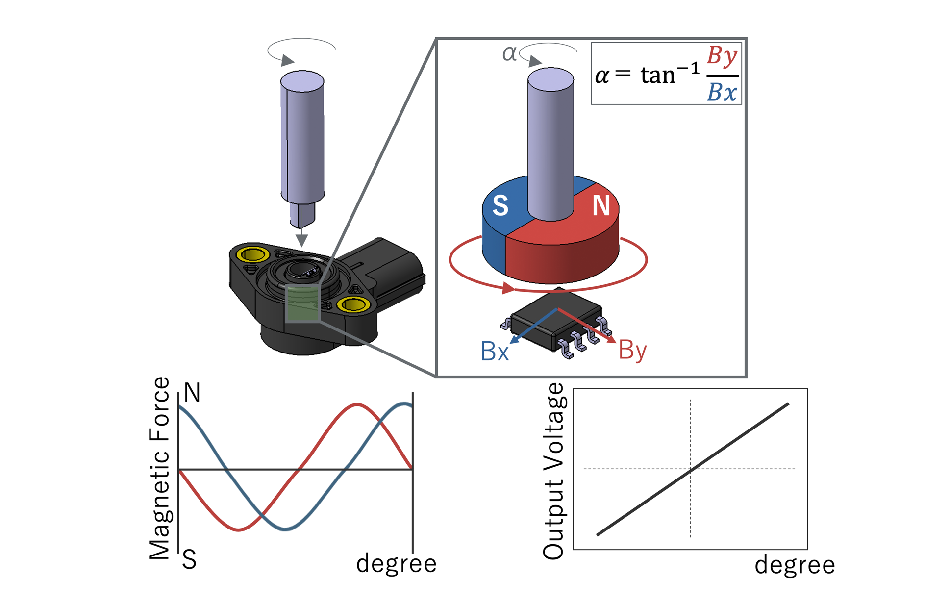 The magnetic flux density detected by the Hall IC changes according to the angle position, and it is converted into an electric signal inside the IC and output.