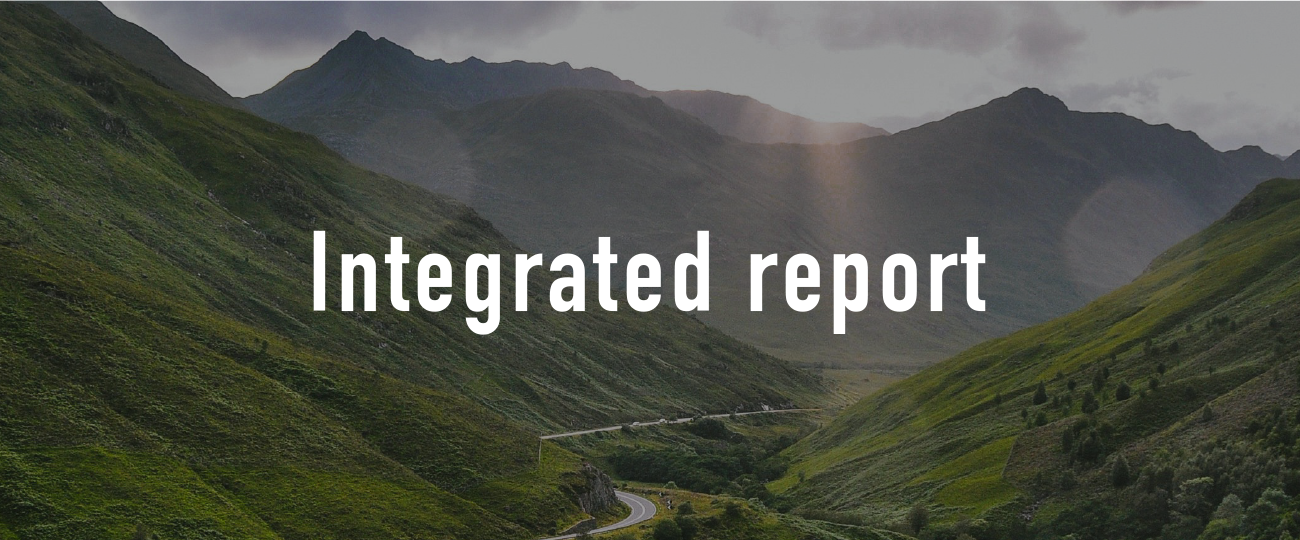 Integrated report