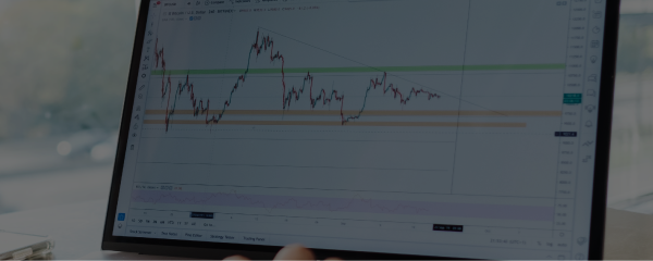 Financial / Performance